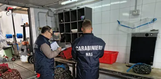Blitz dei NAS di Palermo, sequestrati 450 kg di cozze e ostriche a rischio