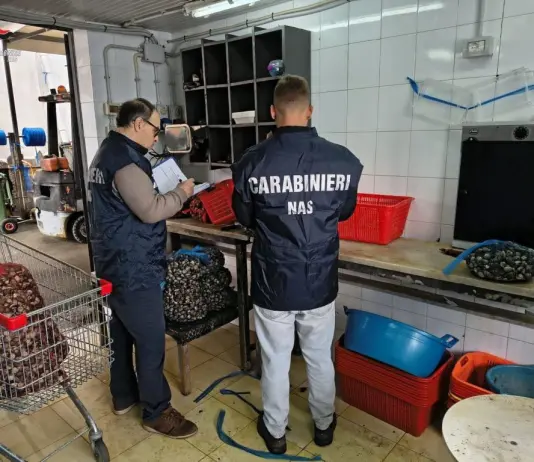 Blitz dei NAS di Palermo, sequestrati 450 kg di cozze e ostriche a rischio