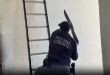 Catania, scoperto nascondiglio di armi e munizioni in un edificio del quartiere Librino / Video