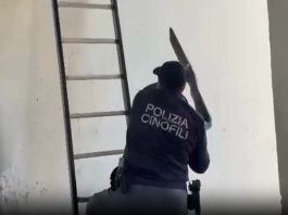 Catania, scoperto nascondiglio di armi e munizioni in un edificio del quartiere Librino / Video