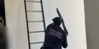 Catania, scoperto nascondiglio di armi e munizioni in un edificio del quartiere Librino / Video