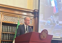 Convegno Italia-Cina in Senato, Riccardi “I nostri investimenti rafforzano l’export”