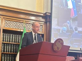 Convegno Italia-Cina in Senato, Riccardi “I nostri investimenti rafforzano l’export”