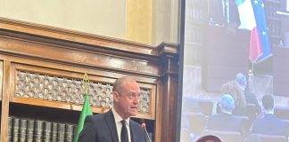 Convegno Italia-Cina in Senato, Riccardi “I nostri investimenti rafforzano l’export”