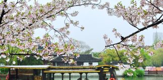 La primavera alimenta il turismo in tutta la Cina (1)