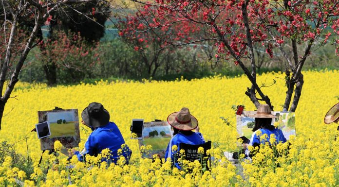 La primavera alimenta il turismo in tutta la Cina (2)