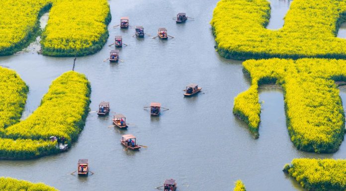 La primavera alimenta il turismo in tutta la Cina (3)