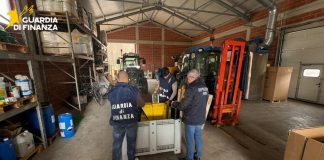 Scoperta distilleria clandestina nel Trevigiano, sequestrati 11 mila litri di vino e oltre 500 litri di alcolici / Video