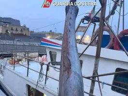 Guardia Costiera, sequestrati 19 esemplari di tonno rosso su un peschereccio a Palermo