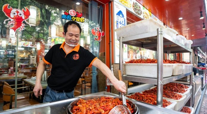 Cina: Hunan, grande banchetto di gamberi di fiume a Yiyang (2)