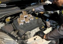 Sequestrati 8 Kg di hashish su SS18, arrestato un corriere nel cosentino