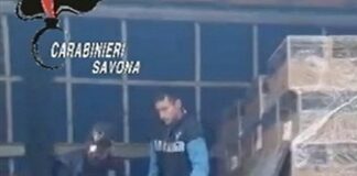 Sequestrati 170 Kg di hashish nel porto di Savona, arrestato camionista