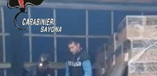Sequestrati 170 Kg di hashish nel porto di Savona, arrestato camionista