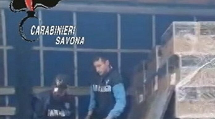 Sequestrati 170 Kg di hashish nel porto di Savona, arrestato camionista