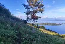 Mundys, Neya lancia in Cile un nuovo progetto di riforestazione di 170 ettari