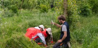 Ambiente, il Progetto Boschi di E.ON supera i 150.000 alberi piantati