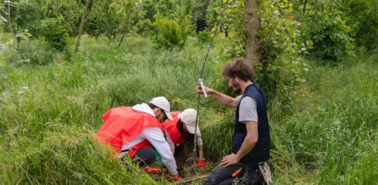Ambiente, il Progetto Boschi di E.ON supera i 150.000 alberi piantati