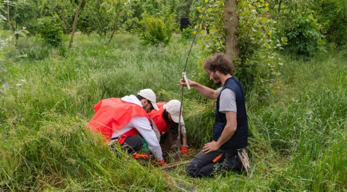 Ambiente, il Progetto Boschi di E.ON supera i 150.000 alberi piantati
