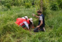Il Progetto Boschi di E.ON supera i 150.000 alberi piantati
