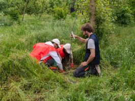 Il Progetto Boschi di E.ON supera i 150.000 alberi piantati