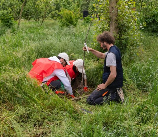 Il Progetto Boschi di E.ON supera i 150.000 alberi piantati