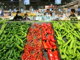 Cina, inflazione ancora in moderata ripresa ad aprile