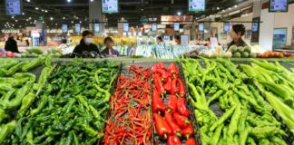 Cina, inflazione ancora in moderata ripresa ad aprile