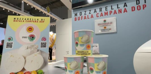 Mozzarella di Bufala Campana Dop, nel 2025 57mln di chili prodotti e 38% esportato