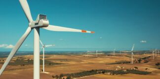 Iberdrola, nuovo progetto eolico. Capacità di generazione in Italia fino a 450 MW