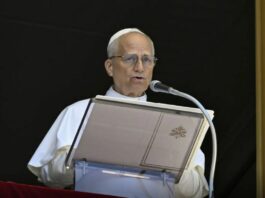 Papa Leone “La cura per la pace è la cura per la vita”