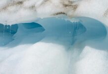 Ambiente, il riscaldamento globale riduce l’ossigeno nei fiumi di tutto il mondo