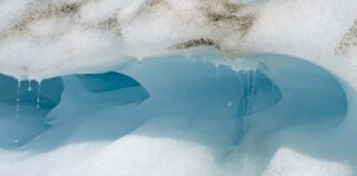Ambiente, il riscaldamento globale riduce l’ossigeno nei fiumi di tutto il mondo