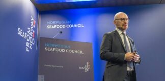 Salmone norvegese, crescita dei consumi in Italia e nuove tendenze del mercato