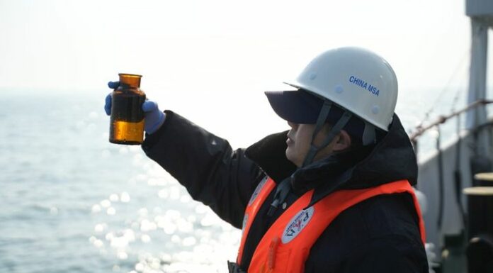 Cina, la tecnologia eDNA al servizio della biodiversità marina