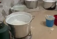 Dall’Ecuador al litorale laziale, smantellato cartello della cocaina