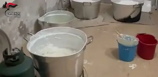 Dall’Ecuador al litorale laziale, smantellato cartello della cocaina