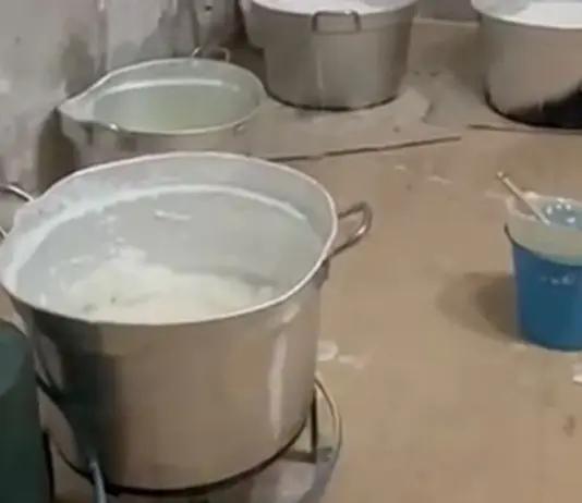 Dall’Ecuador al litorale laziale, smantellato cartello della cocaina
