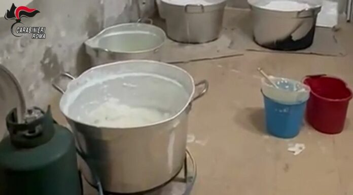 Dall’Ecuador al litorale laziale, smantellato cartello della cocaina
