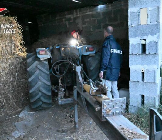 Mafia nel Nord Salento, blitz dei Carabinieri con 30 arresti