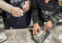 Genova, droga nascosta in un carico di mattonelle: scoperti 11 kg tra cocaina e hashish