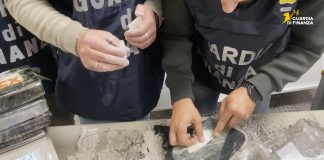 Genova, scoperti 11 kg tra cocaina e hashish nascosti in un carico di mattonelle / Video