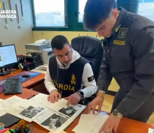 Operazione “Fake Monkey”, la GDF di Bologna scopre un sito di falsi allevamenti di animali esotici