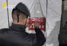 Padova, distrutte 7 tonnellate di sigarette di contrabbando sequestrate / Video