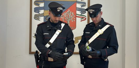 Ladispoli, blitz antidroga nella notte: due arresti e 1,5 chili di hashish sequestrati