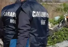 Traffico e smaltimento illecito rifiuti, 2 arresti e 9 indagati tra Napoli e Caserta