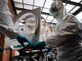 Ebola: The Congolese Football Federation reassures authorities