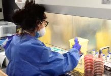 Tecnici di laboratorio, la Fno Tsrm e Pstrp richiama l’attenzione sul pieno riconoscimento della professione: indennità di rischio e specificità nel nuovo CCNL
