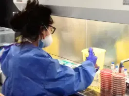 Tecnici di laboratorio, la Fno Tsrm e Pstrp richiama l’attenzione sul pieno riconoscimento della professione: indennità di rischio e specificità nel nuovo CCNL