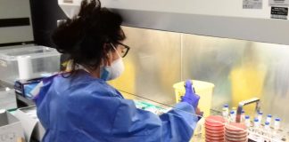 Tecnici di laboratorio, la Fno Tsrm e Pstrp richiama l’attenzione sul pieno riconoscimento della professione: indennità di rischio e specificità nel nuovo CCNL