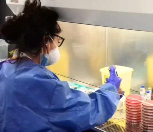 Tecnici di laboratorio, la Fno Tsrm e Pstrp richiama l’attenzione sul pieno riconoscimento della professione: indennità di rischio e specificità nel nuovo CCNL